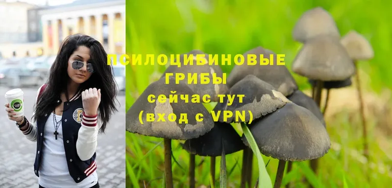 хочу   Белоярский  blacksprut как войти  Галлюциногенные грибы MAGIC MUSHROOMS 